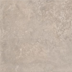 Gạch lát sàn Trường Thịnh GENESIS SERIES BR55E12